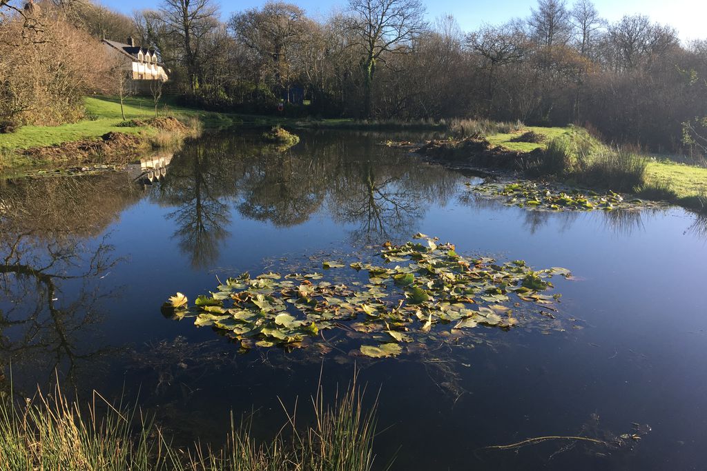 The Old Shippen, Kerswell Farm - Gallery