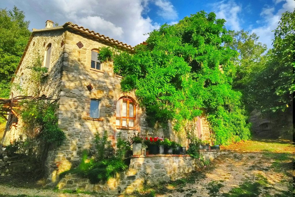 Wild Umbria gallery - Gallery