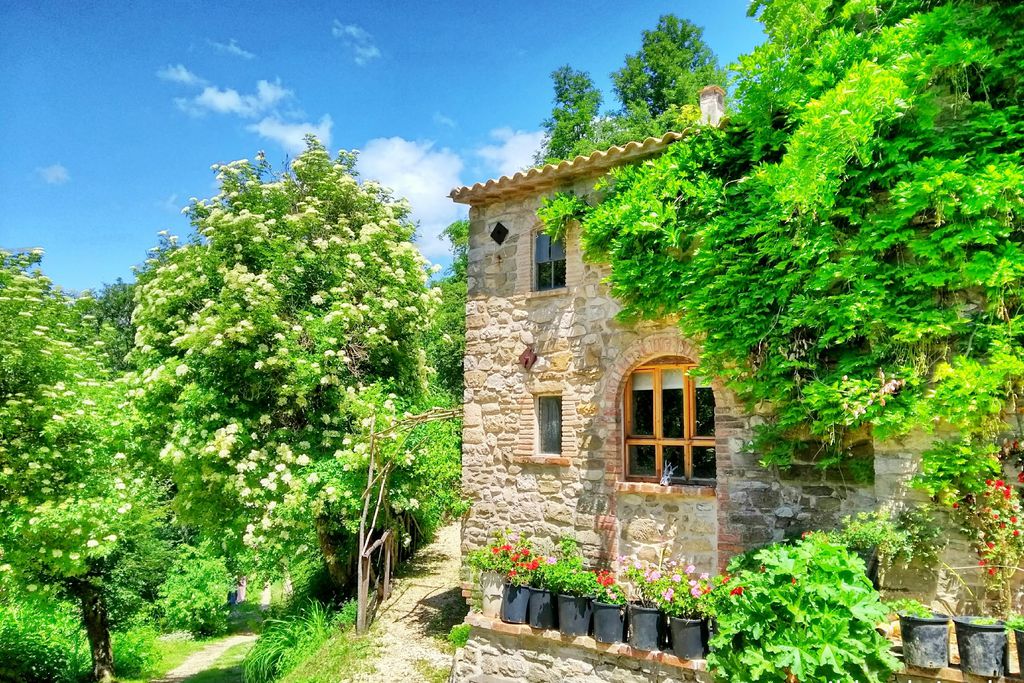 Wild Umbria gallery - Gallery