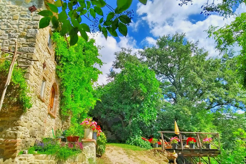 Wild Umbria gallery - Gallery