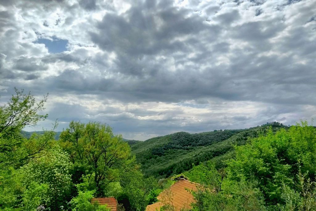 Wild Umbria gallery - Gallery