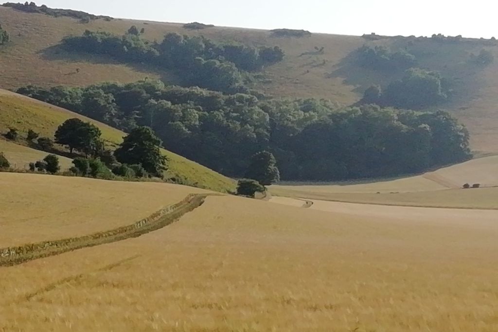 Folkington Barn at Old Rectory Cottage gallery - Gallery