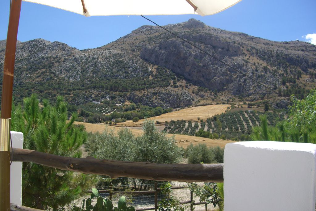 Cortijo los Lobos gallery - Gallery