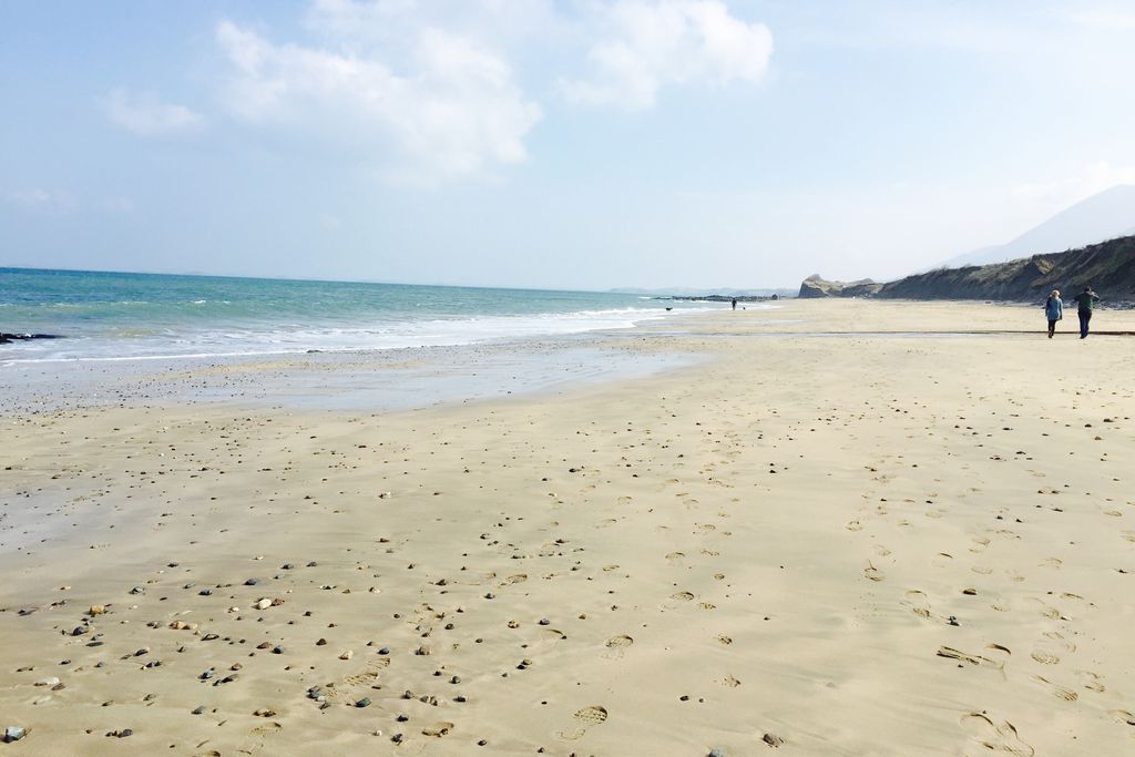 Sea Meadow gallery - Gallery