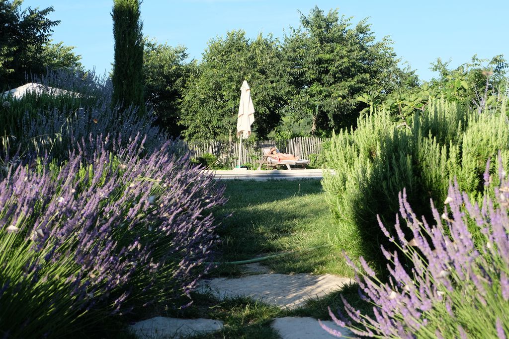 La Maison Papillons B&B gallery - Gallery