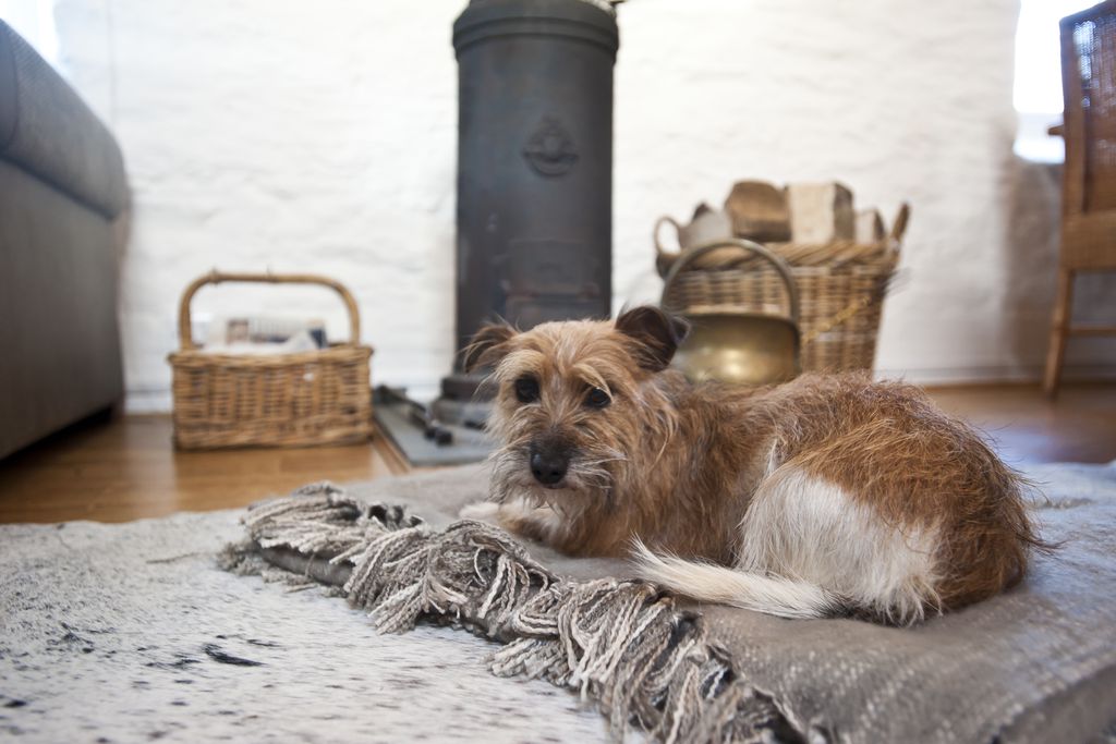 The Old Barn, Lower Tresithick Farm gallery - Gallery