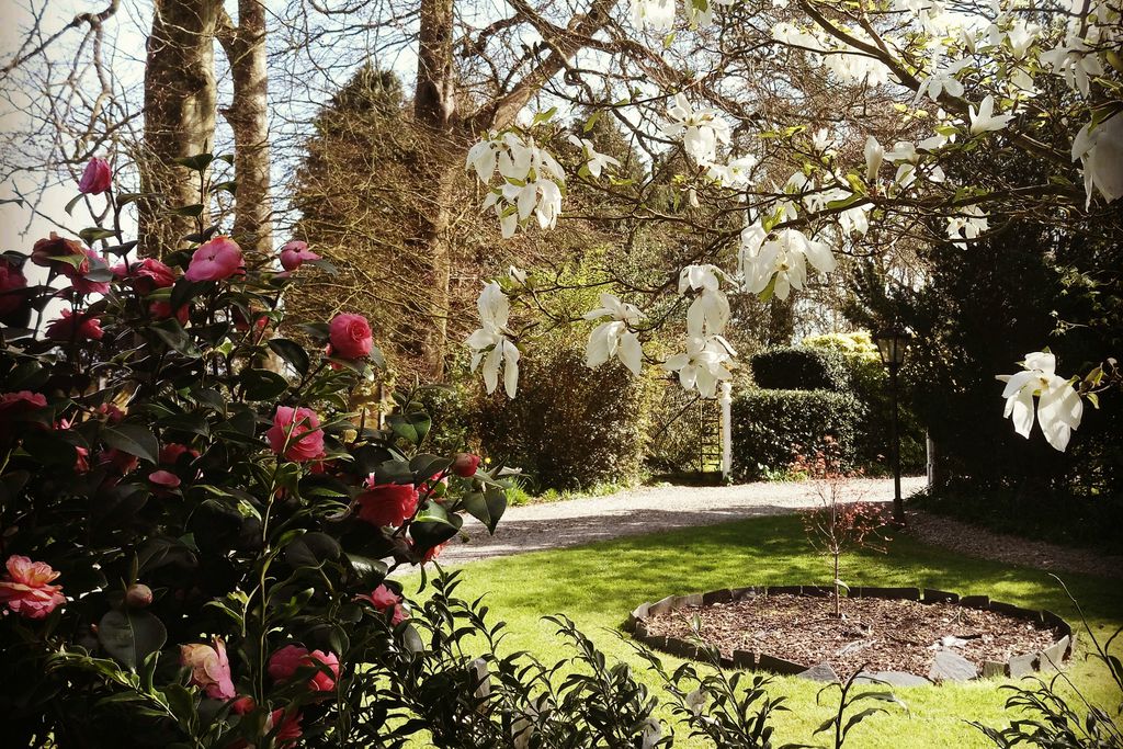 Kilmokea Country Manor & Gardens gallery - Gallery