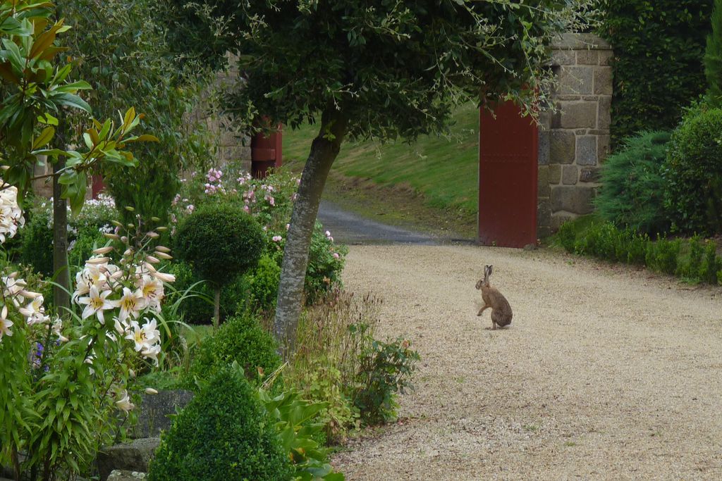 Manoir du Vaugarny gallery - Gallery