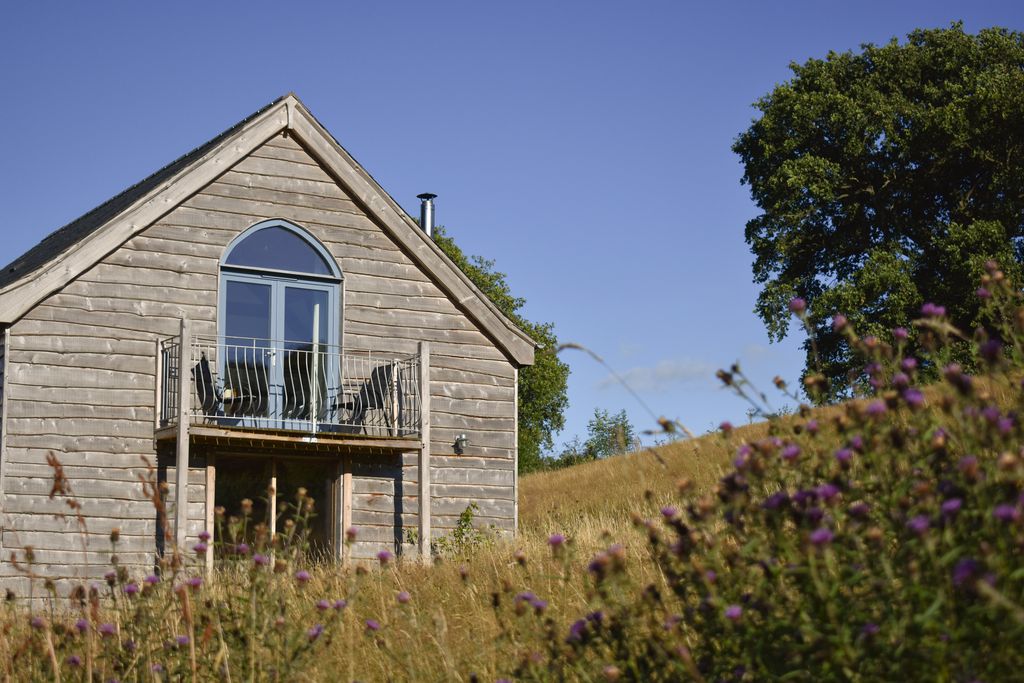 Wild Meadow gallery - Gallery