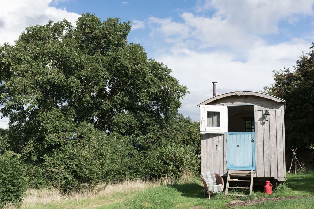 Wild Meadow gallery - Gallery