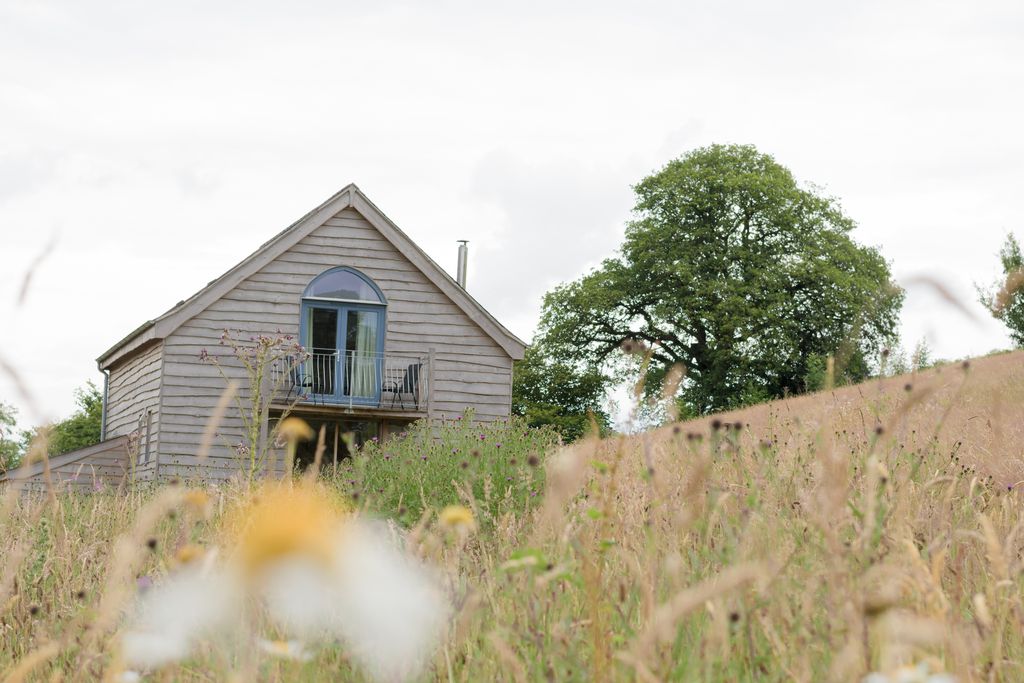 Wild Meadow gallery - Gallery