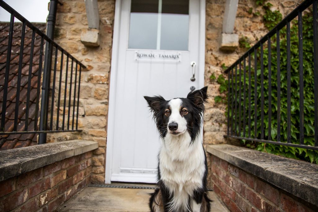 The Eastbury Hotel gallery - Gallery