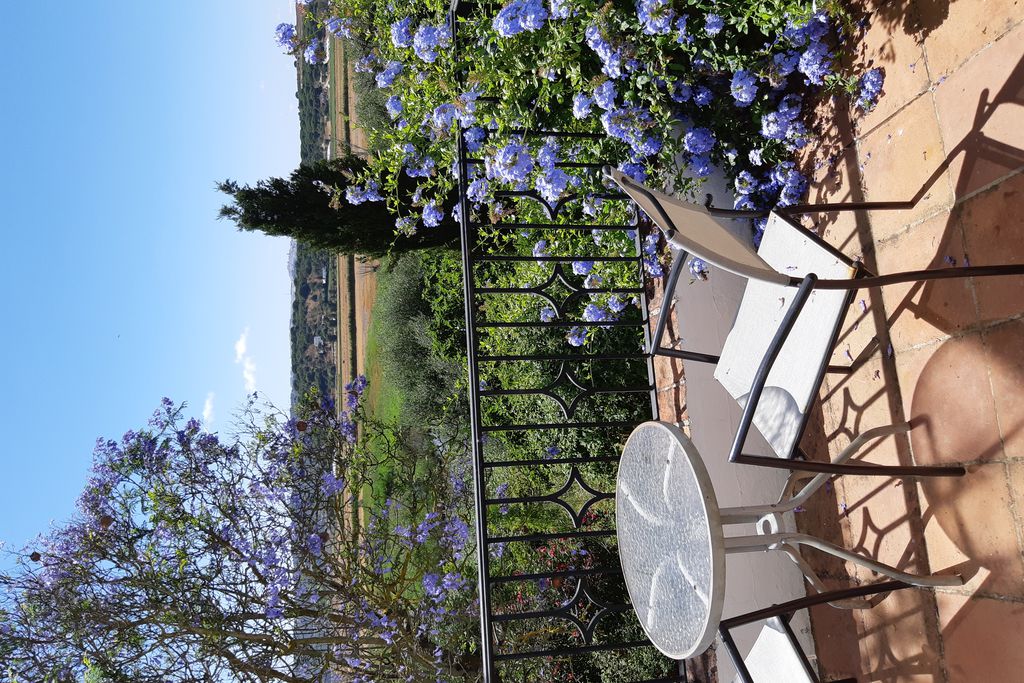 Finca El Sueño gallery - Gallery
