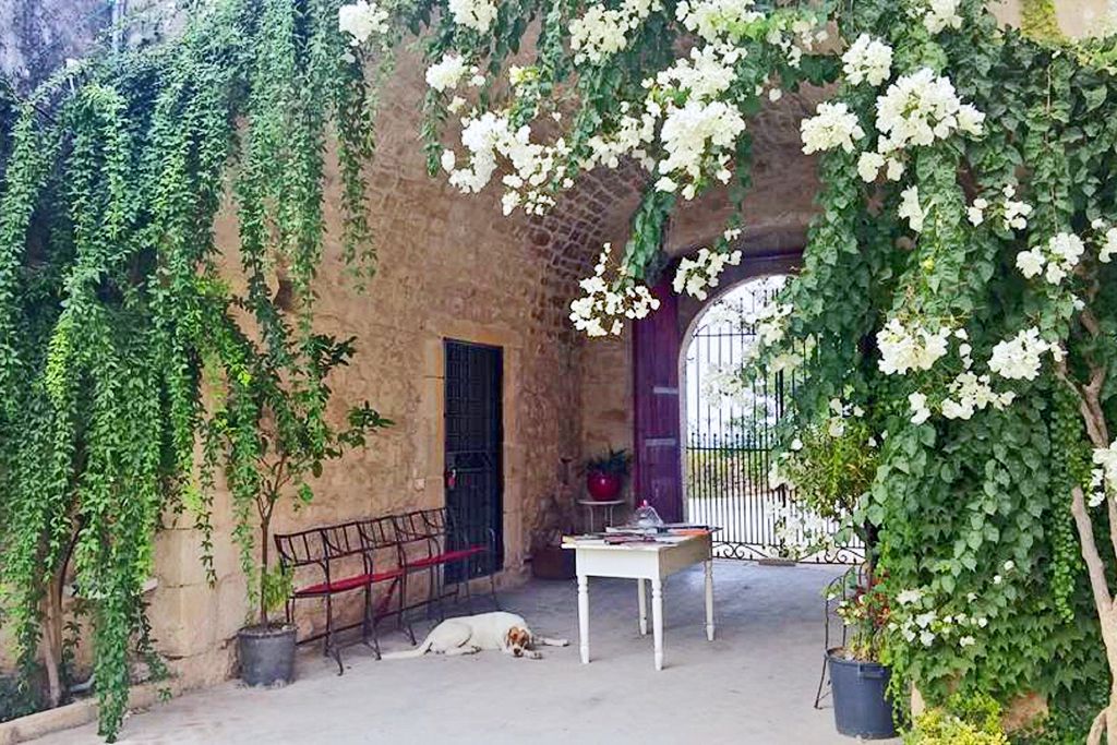 Villa Barone Alfieri gallery - Gallery