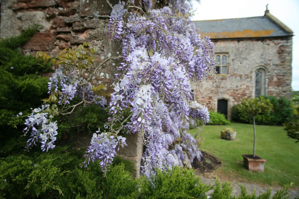 Blackmore Farm gallery - Gallery