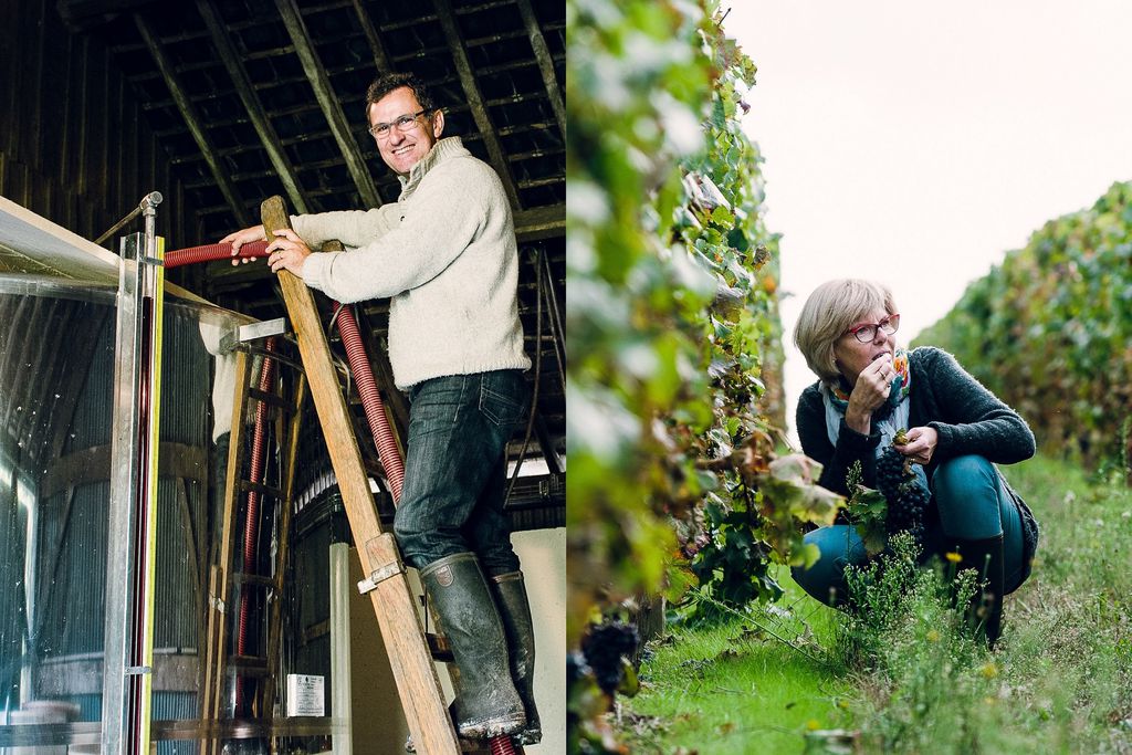 Le Clos de Fontenay gallery - Gallery