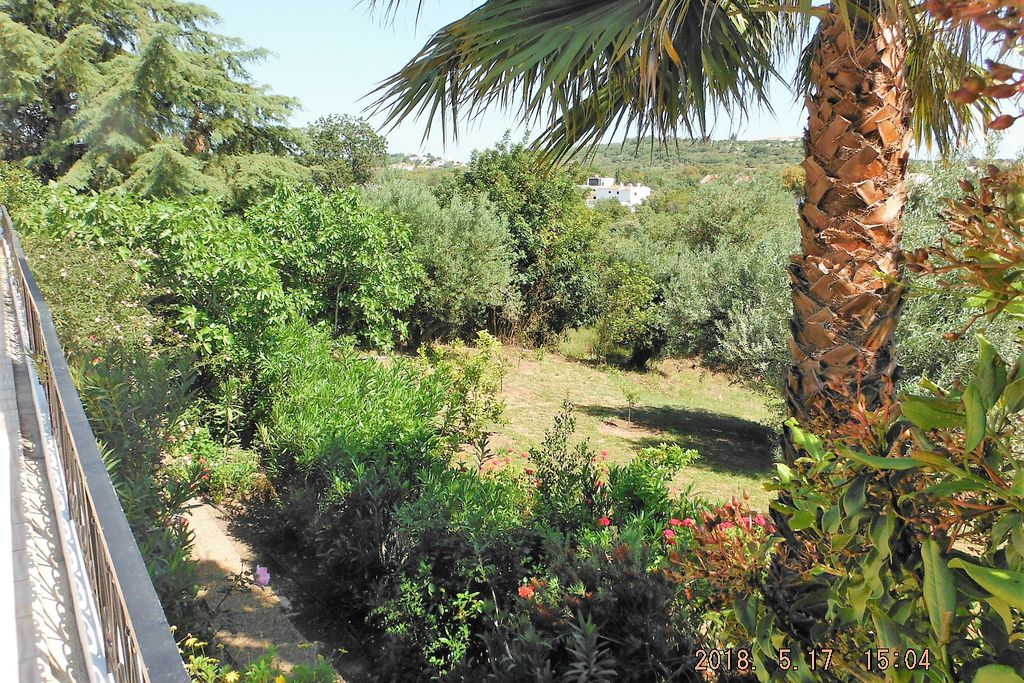 Quinta San Antonio gallery - Gallery