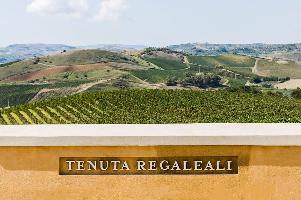 Regaleali Winery Estate gallery - Gallery