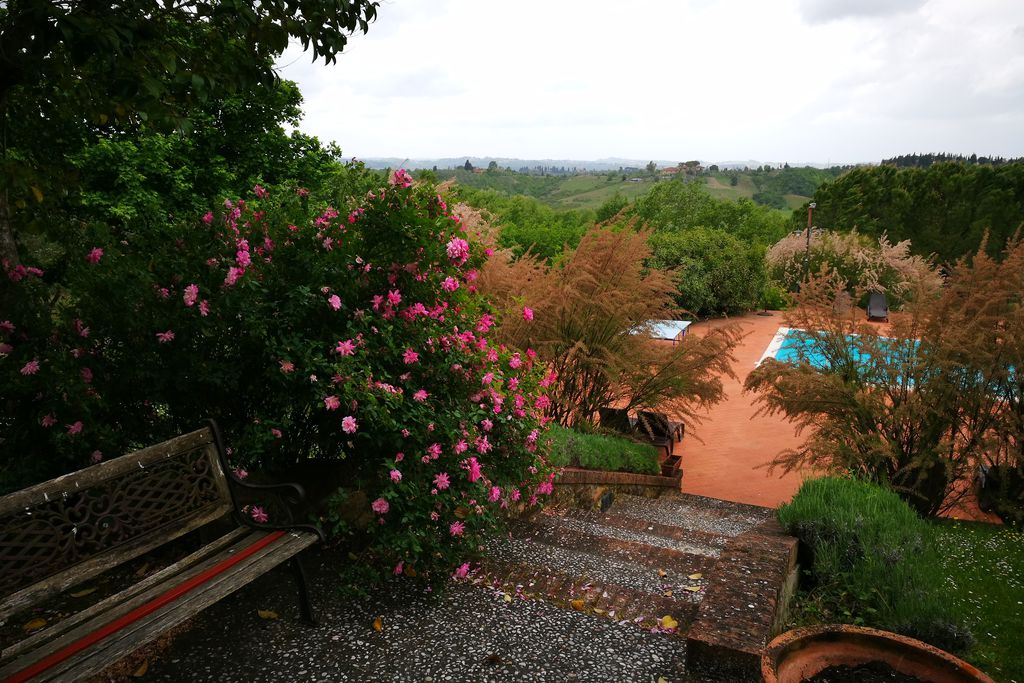 Locanda le Boscarecce gallery - Gallery