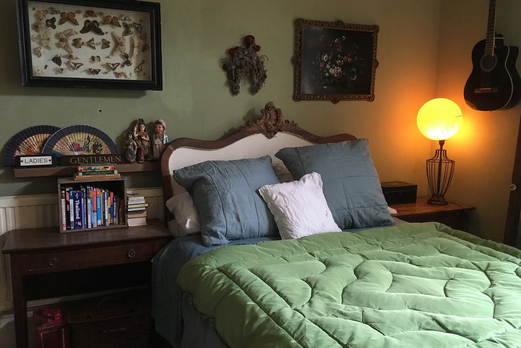 The Curious Cabinet gallery - Gallery
