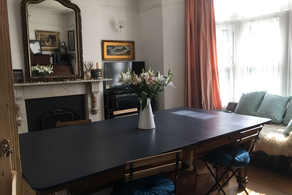 The Curious Cabinet gallery - Gallery