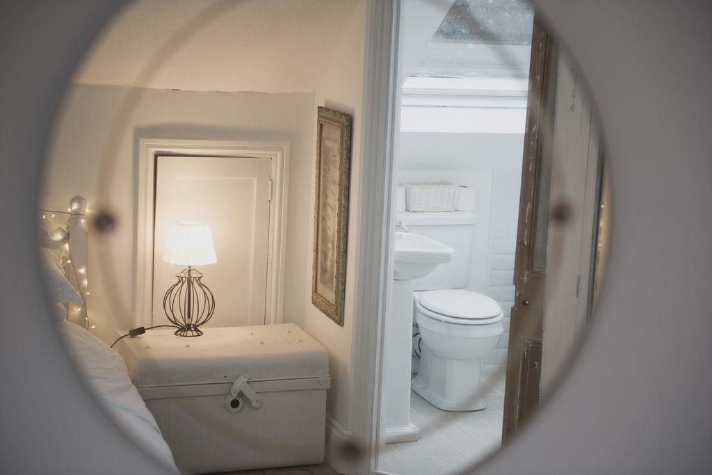 The Curious Cabinet gallery - Gallery