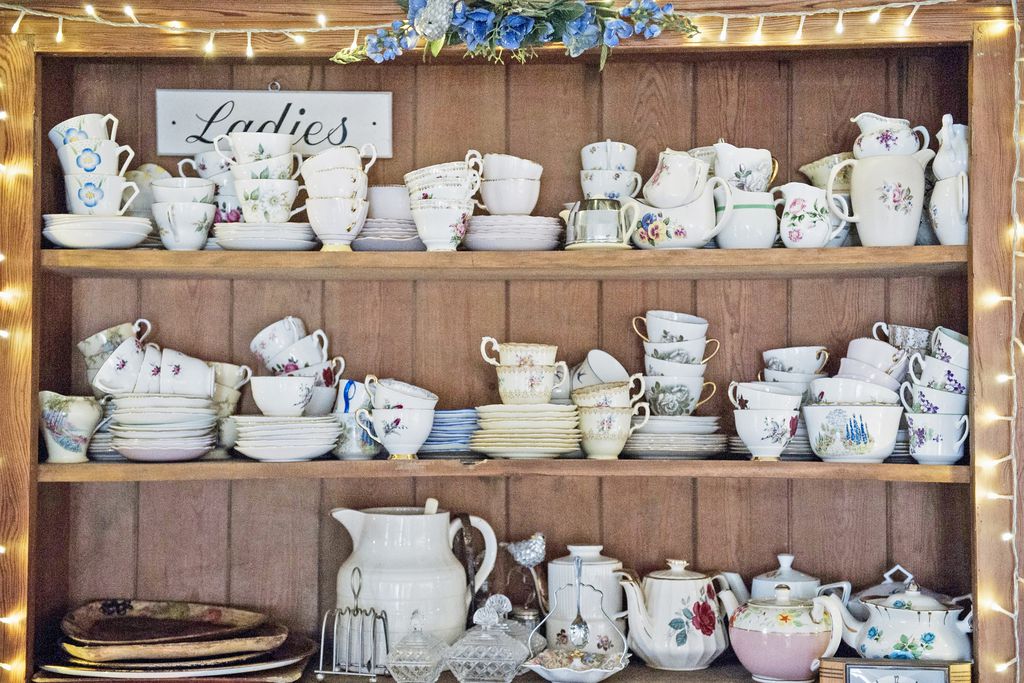 The Curious Cabinet gallery - Gallery