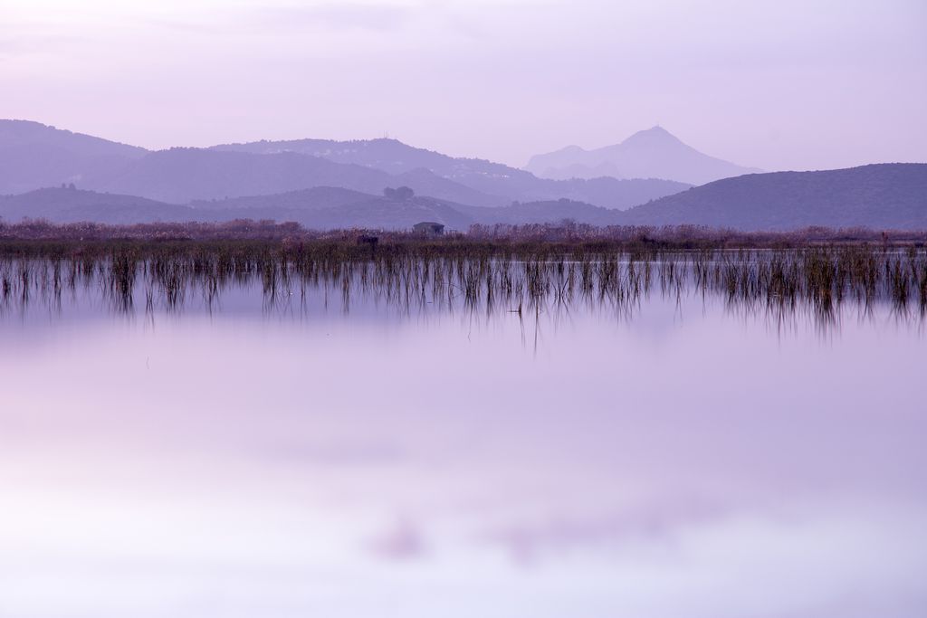 Mardenit gallery - Gallery