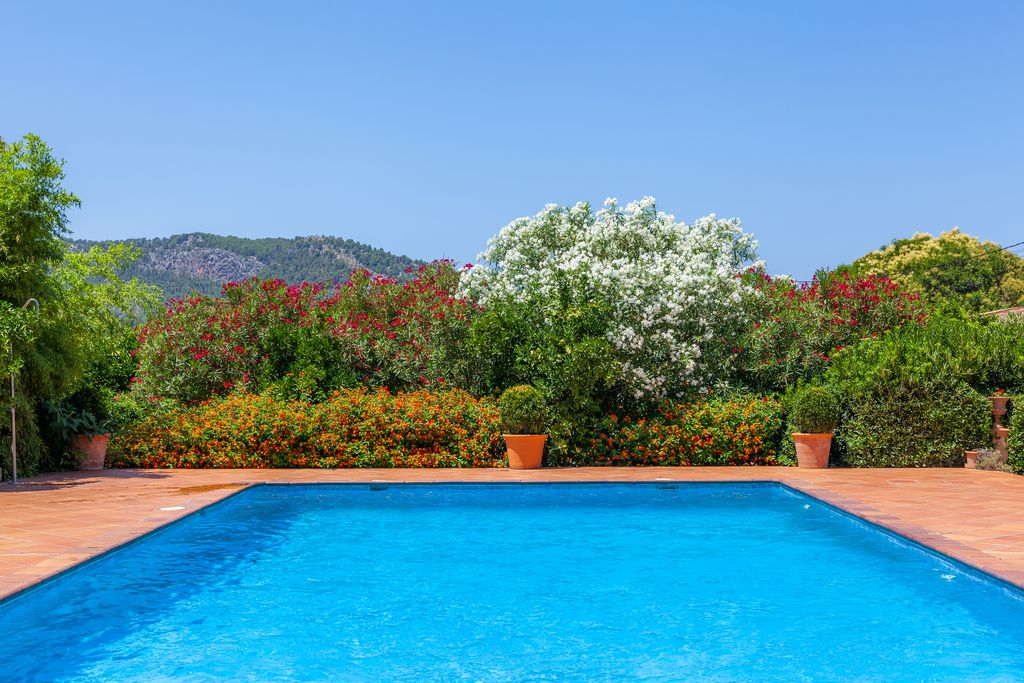 Finca – Agroturismo Ca’s Curial gallery - Gallery