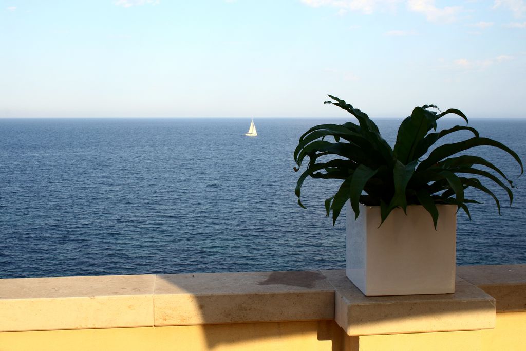 Palazzo Colpace gallery - Gallery
