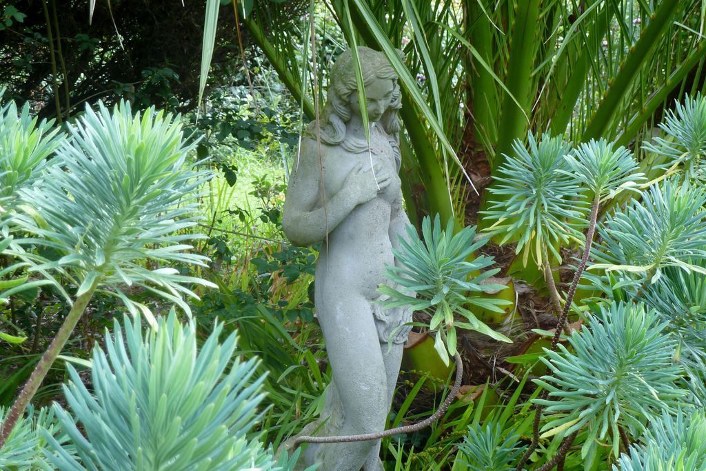 Cove Cottage gallery - Gallery