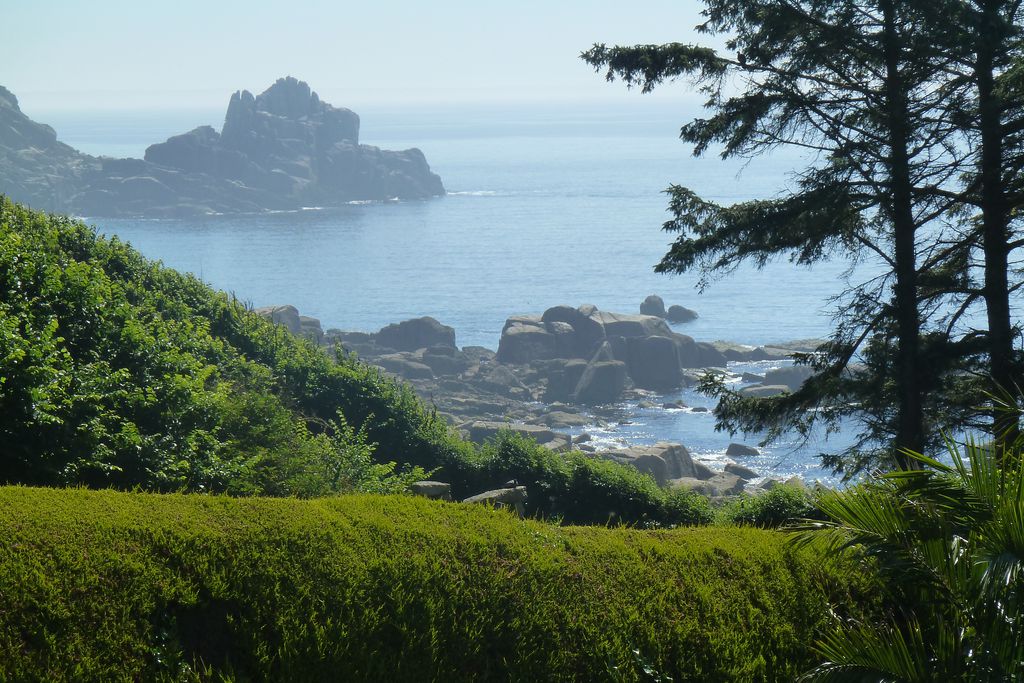 Cove Cottage gallery - Gallery