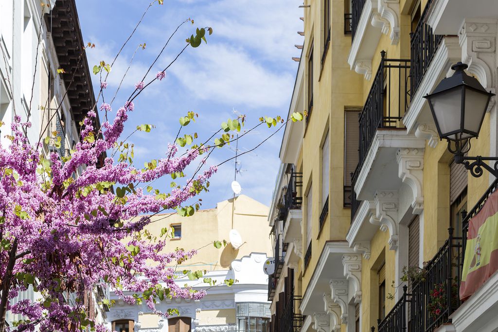 Apartment in Madrid gallery - Gallery