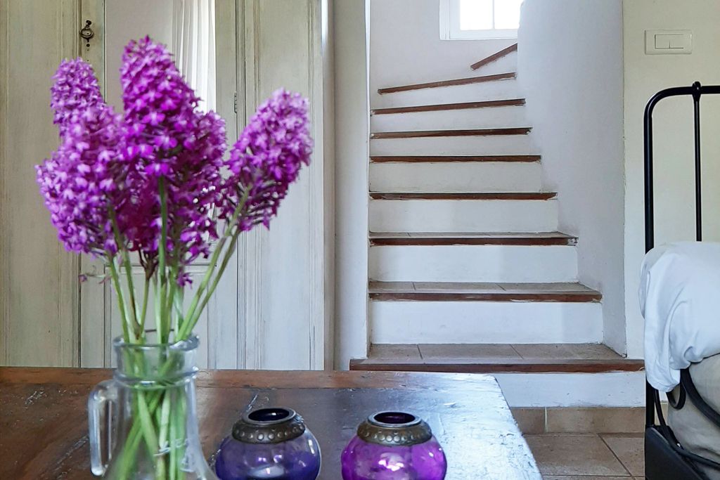 La Pichouline gallery - Gallery