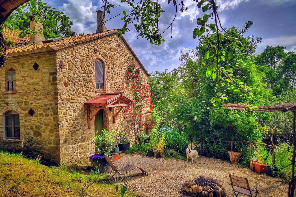Wild Umbria gallery - Gallery