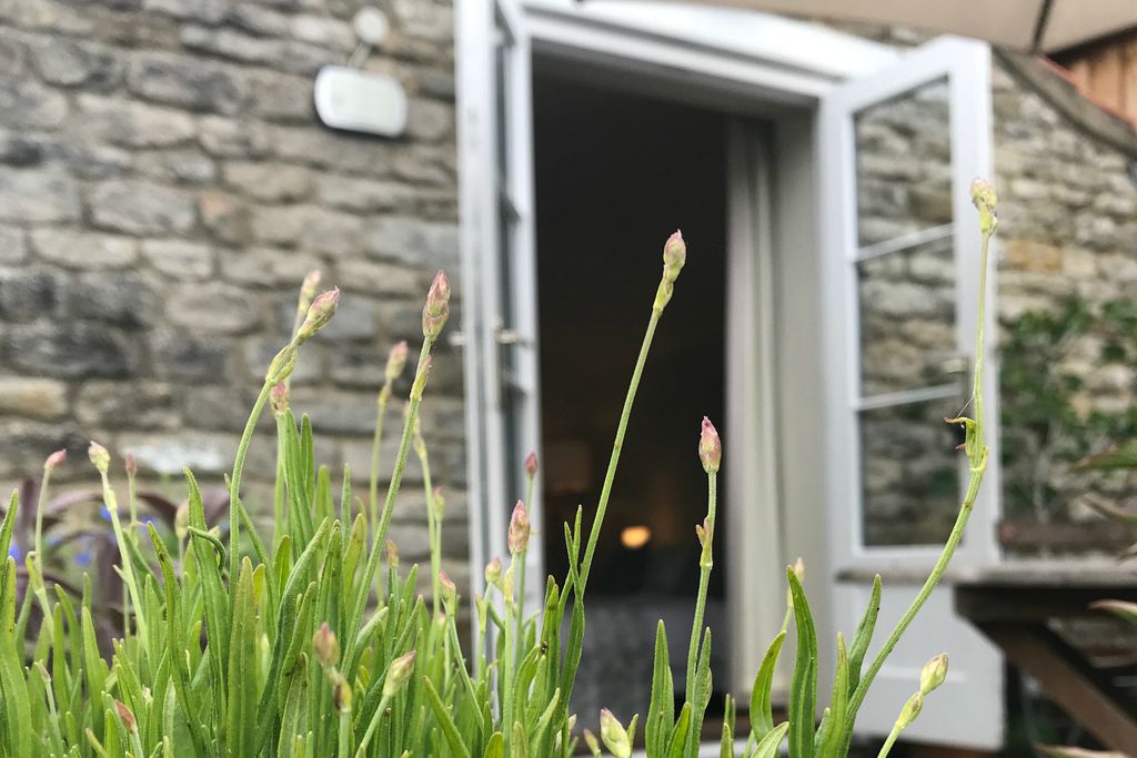 The Stable Annex gallery - Gallery