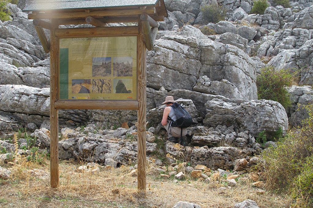 Los Castaños gallery - Gallery