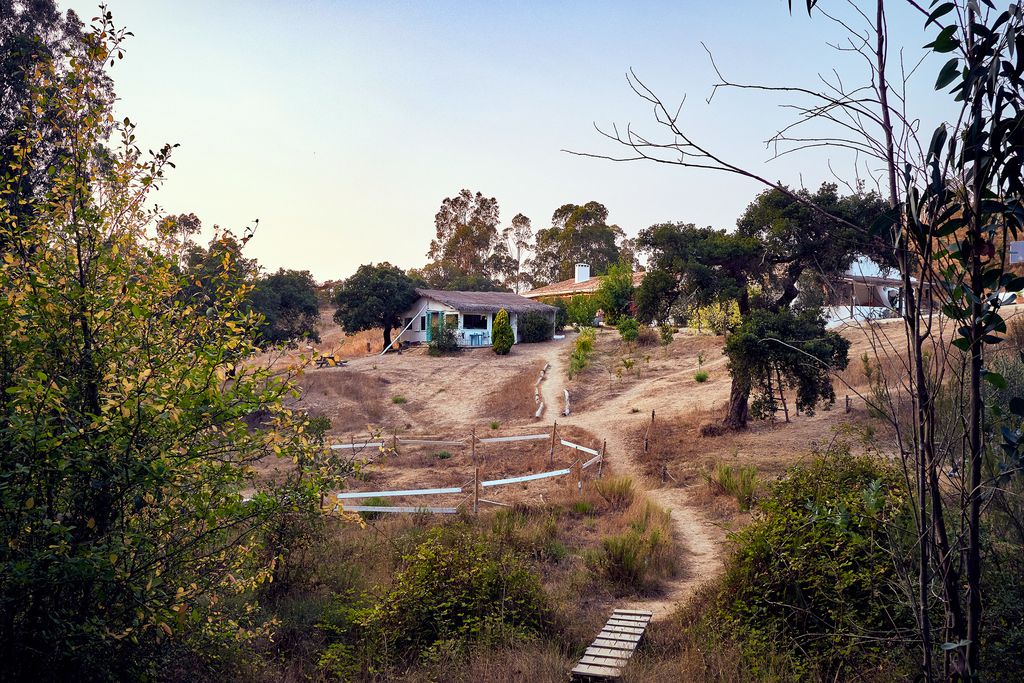 Muxima gallery - Gallery