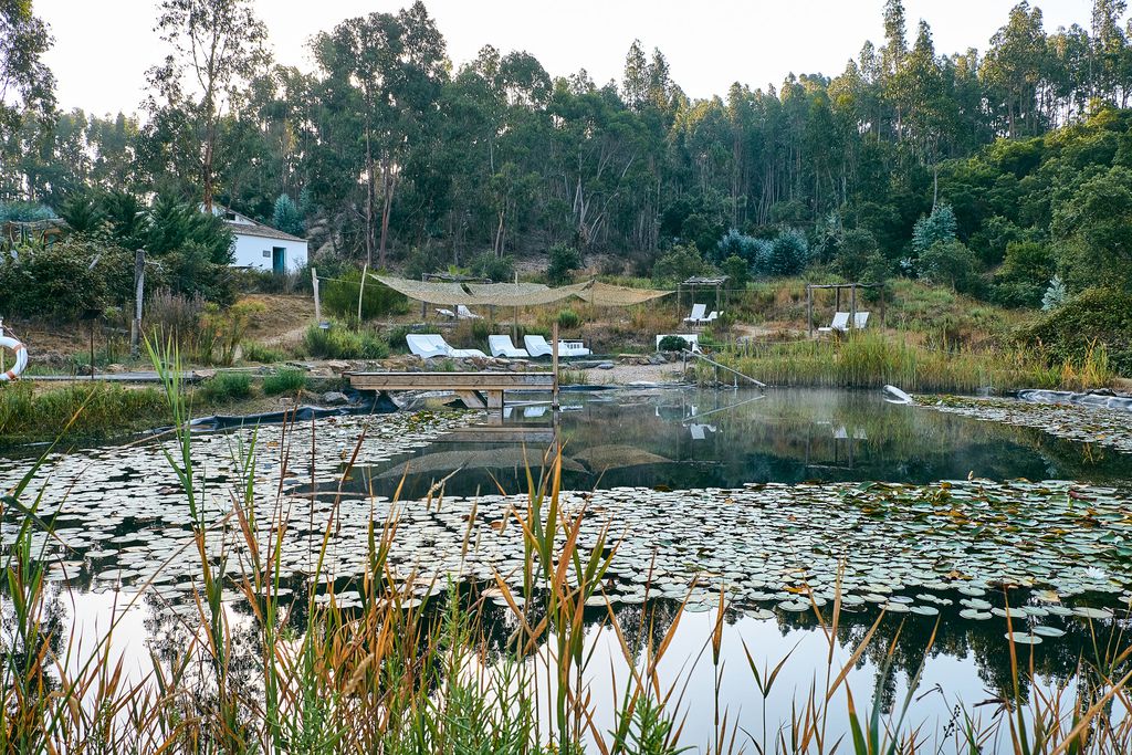 Muxima gallery - Gallery