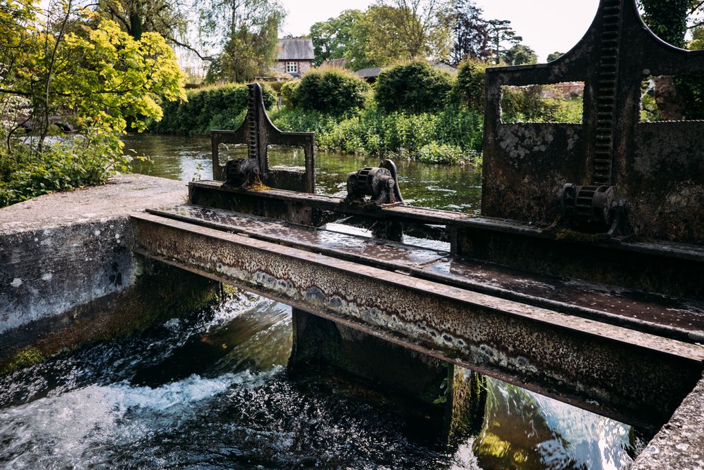 Watership Down Inn gallery - Gallery