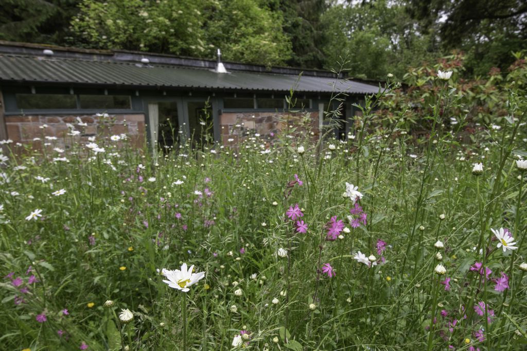 The Potting Shed gallery - Gallery