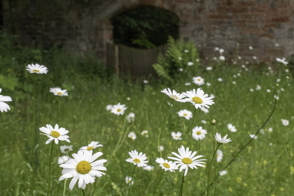 The Potting Shed gallery - Gallery