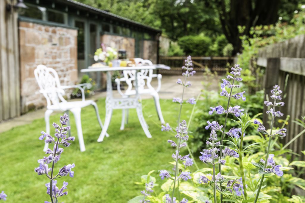 The Potting Shed gallery - Gallery