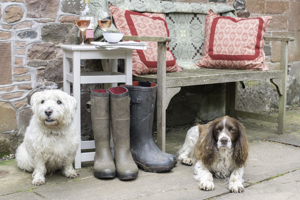 The Potting Shed gallery - Gallery