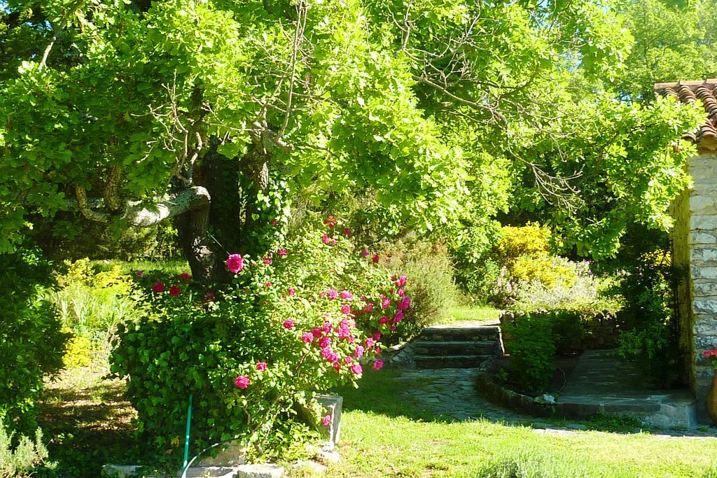 La Bergerie de l’Aspe gallery - Gallery