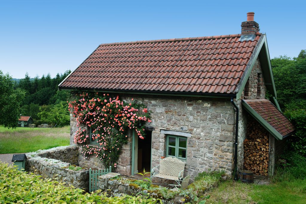 Orchard Cottage - Gallery