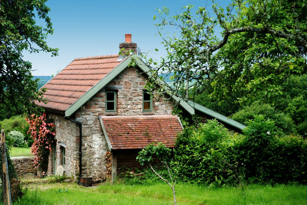 Orchard Cottage gallery - Gallery