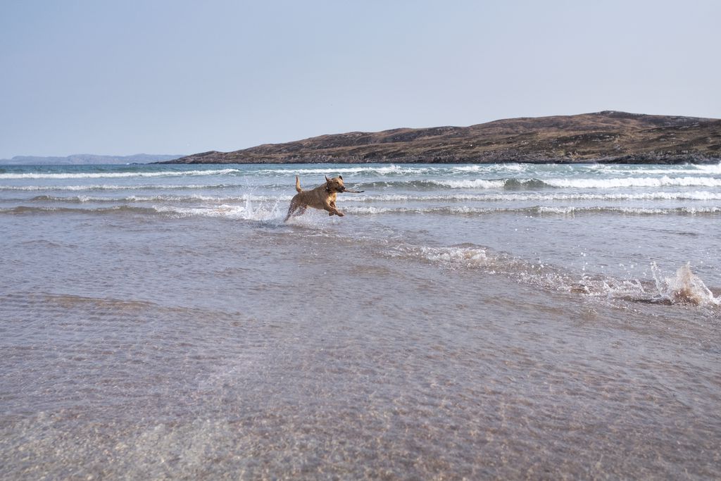 Gille Buidhe’s Broch gallery - Gallery