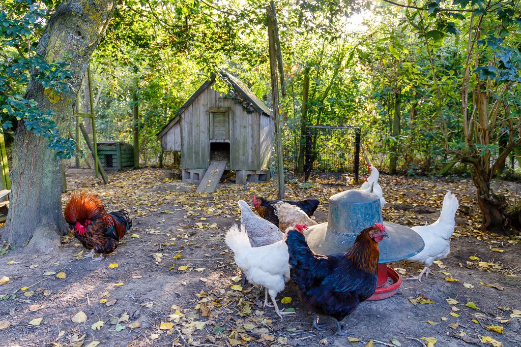 The Tack Barn at Upper Lodge gallery - Gallery