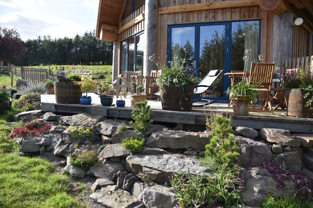 Fiddle Hill gallery - Gallery
